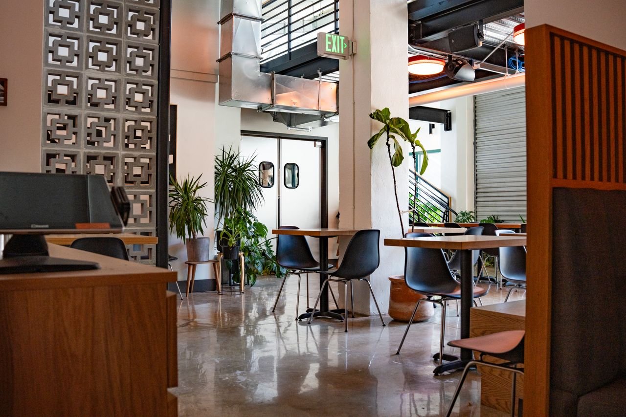 Services Contemporary cafe interior showcasing industrial style with plants and minimalist furniture.